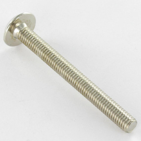 1 x Machine Screw flat Hexagon Socket 4 M6X60 Nickel Plated