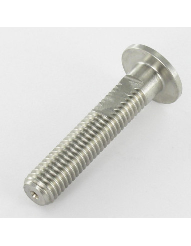 1 x Machine Screw Head Flat A/MEPLAT 20X50...