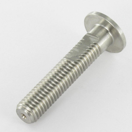 1 x Machine Screw Head Flat A/FLAT 20X50 Thread Length: 43 M10 Stainless Steel