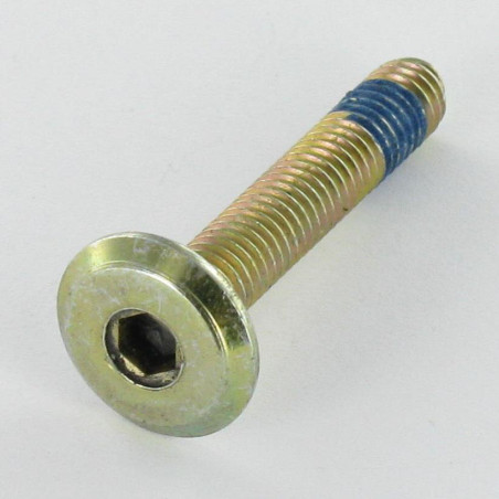 1 x Machine Screw flat Hexagon Socket 4 M6X35 Patch Nylon Brass Plated Steel