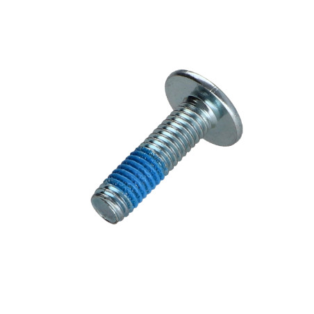 1 x Screw Mushroom M6X22 Hexagon Socket 4 Zinc Plated Patch Nylon
