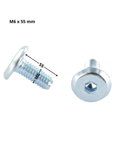 1 x Machine Screw flat Hexagon Socket 4 M6X55...