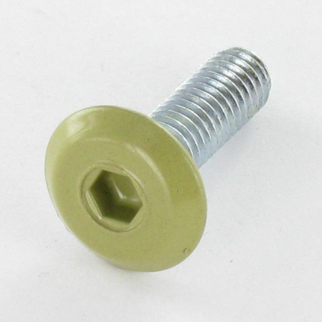 1 x Machine Screw flat Hexagon Socket 4 M6X20 Zinc Plated Head RAL1020