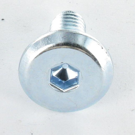 1 x Machine Screw flat Hexagon Socket 4 M6X16 Zinc Plated
