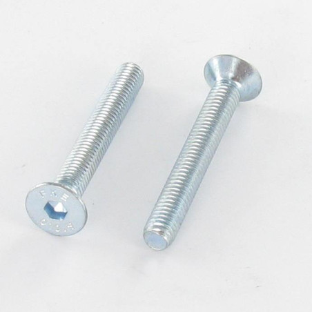 1 x Machine Screw Flat Head Hexagon Recess M10X30 Full Thread Class 10.9 Hexagon Socket 6 Zinc Plated
