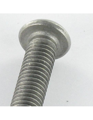 1 x Machine Screw Stainless Steel A2 Security...
