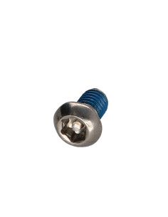 Machine Screw Stainless Steel A2 Security Pan Head T30...