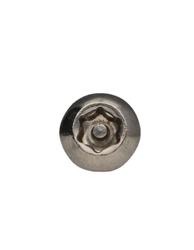 1 x Machine Screw Stainless Steel A2 Security...