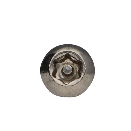 1 x Machine Screw Stainless Steel A2 Security Pan Head T30 with pin M6X10+ Patch Nylon