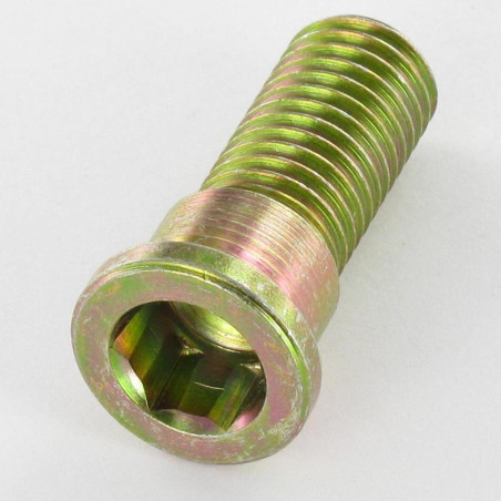 1 x Screw SHOULDER Flat Head Hexagon Socket 10 18X37 M12X25 Yellow Zinc