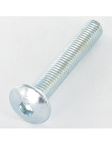 1 x Screw Mushroom M8X55 Hexagon Socket 5 Zinc...