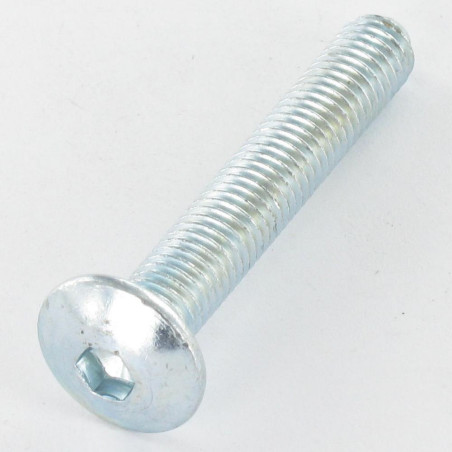 1 x Screw Mushroom M8X55 Hexagon Socket 5 Zinc Plated Pilot Point