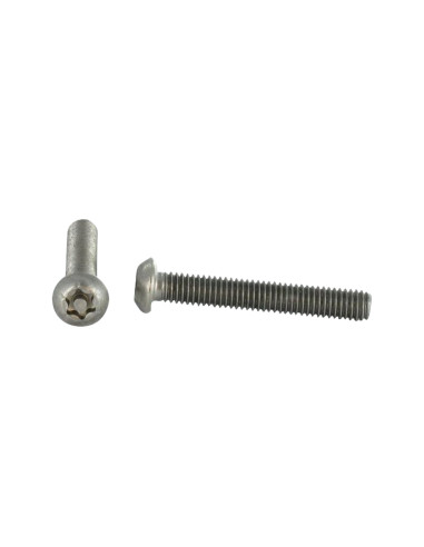 1 x Machine Screw Stainless Steel A2 Security...