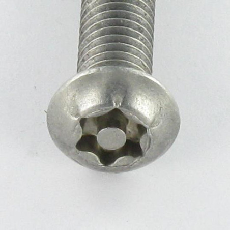1 x Machine Screw Stainless Steel A2 Security Pan Head TORX T45 with pin M10X50