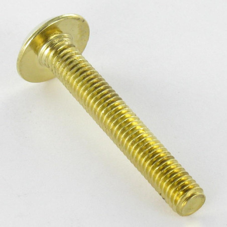 1 x Machine Screw flat Hexagon Socket 4 M6X80 Brass Plated Steel