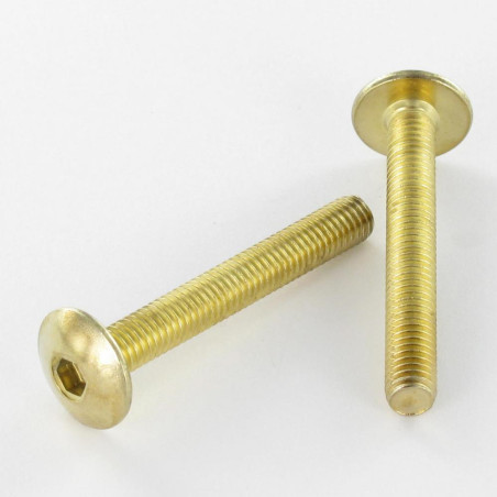 1 x Screw Mushroom M6X65 Hexagon Socket 4 Brass Plated Steel