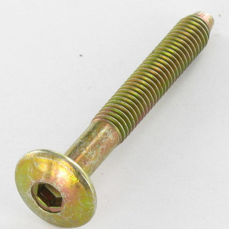 1 x Screw Mushroom Hexagon Socket M6X47 Thread Length: 32 Conical Point Yellow Zinc