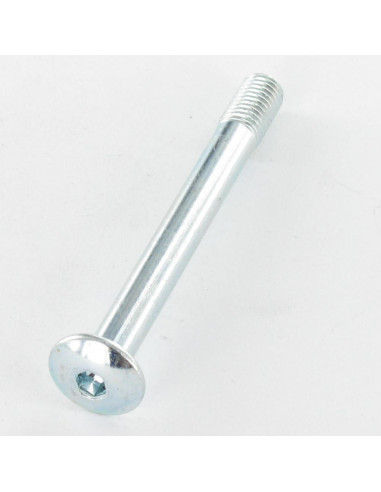 1 x Screw Mushroom Hexagon Socket 4 M7X65...