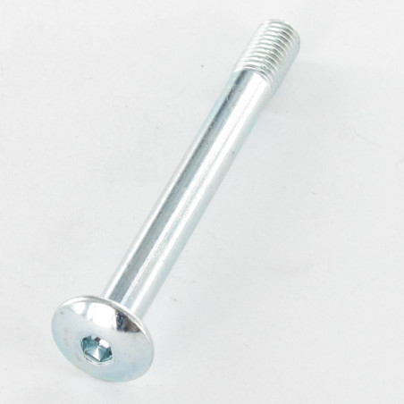 1 x Screw Mushroom Hexagon Socket 4 M7X65 Thread Length: 12 Pitch 100 Zinc Plated