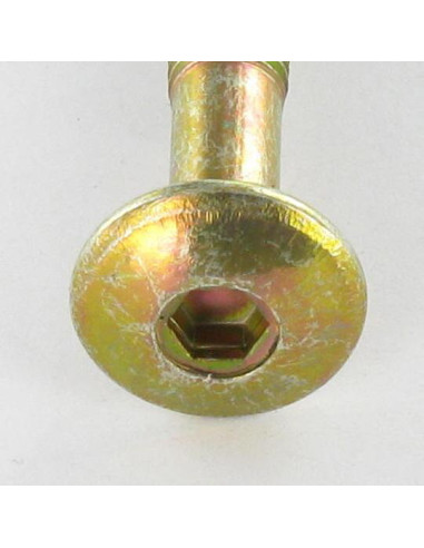 1 x Screw Mushroom Hexagon Socket M6X47 Thread...