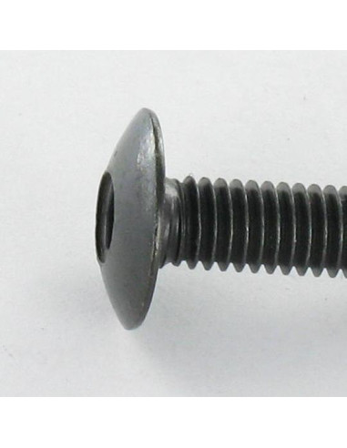 1 x Screw Mushroom M6X45 Hexagon Socket 4 Black...