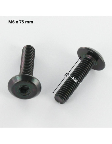 1 x Machine Screw flat Hexagon Socket 4 M6X75...