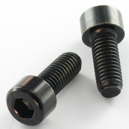 1 x Machine Screw Socket Head M6X10 Full Thread Class 8.8 Hexagon Socket 5 Black Zinc Plated