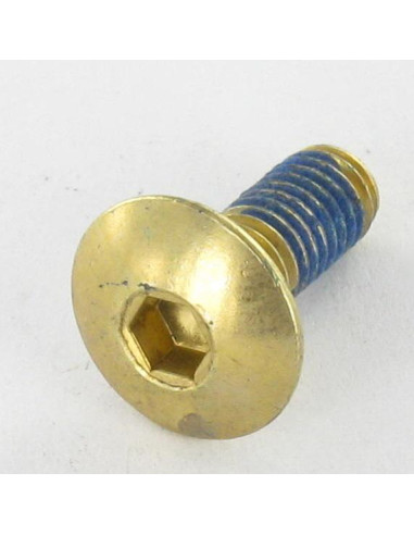 1 x Screw Mushroom M6X16 Hexagon Socket 4 Brass...
