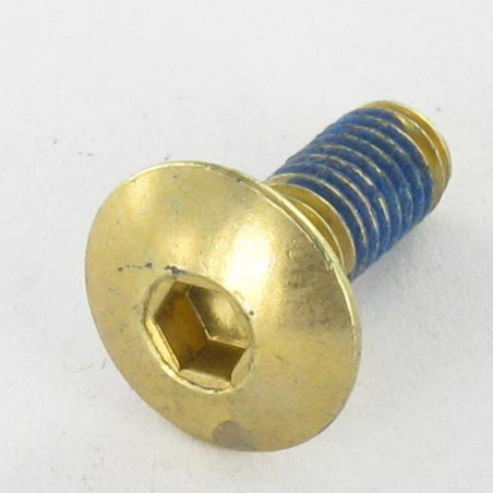 1 x Screw Mushroom M6X16 Hexagon Socket 4 Brass Plated Steel FR