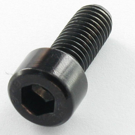1 x Machine Screw Socket Head M6X10 Full Thread Class 8.8 Hexagon Socket 5 Black Zinc Plated