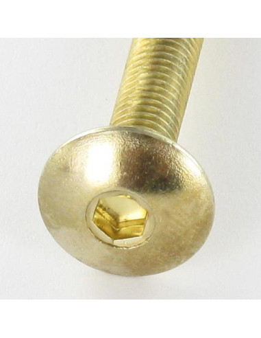 1 x Screw Mushroom M6X30 Hexagon Socket 4 Brass...