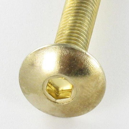 1 x Screw Mushroom M6X30 Hexagon Socket 4 Brass Plated Steel