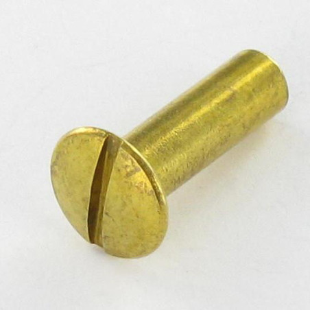 1 x Nut Binder Pan Countersunk Head Slotted M4X13 5.4X19 Brass