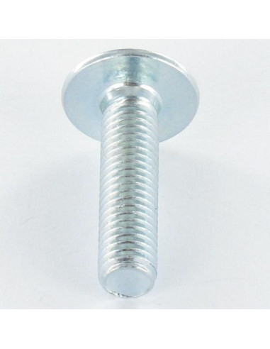 1 x Screw Mushroom M6X30 Hexagon Socket 4 Brass...