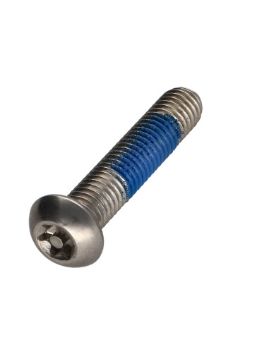 1 x Machine Screw Stainless Steel A2 Security...