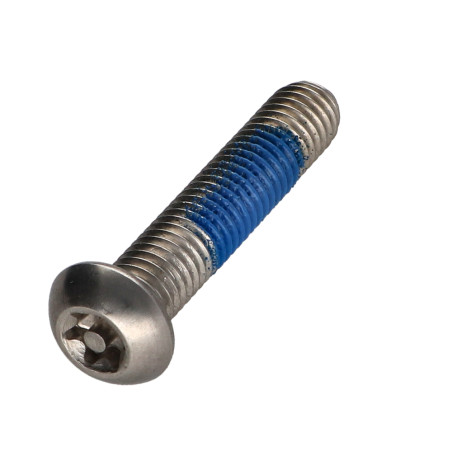 1 x Machine Screw Stainless Steel A2 Security Pan Head T40 with pin M8X40 Patch Nylon