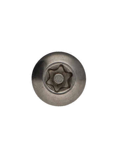1 x Machine Screw Stainless Steel A2 Security...