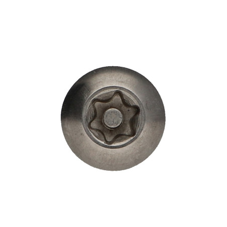 1 x Machine Screw Stainless Steel A2 Security Pan Head T40+TETON M8X40 Patch Nylon