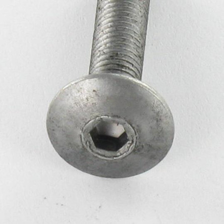1 x Screw Mushroom Hexagon Socket 4 M6X35 Head Diameter: 10 Steel
