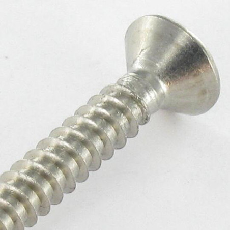 1 x Thread Rolling Screw Countersunk Head 4.8X25 Stainless Steel A2 T25