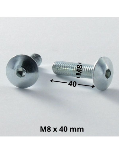 1 x Screw Mushroom M8X40 Hexagon Socket 5 Zinc...