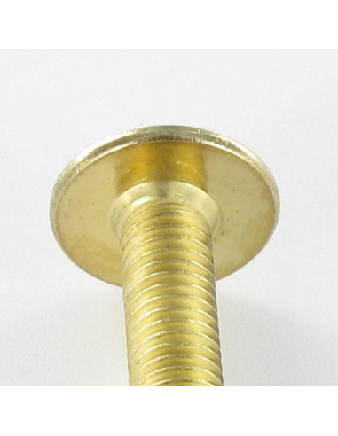 1 x Screw Mushroom M6X80 Hexagon Socket 4 Brass...