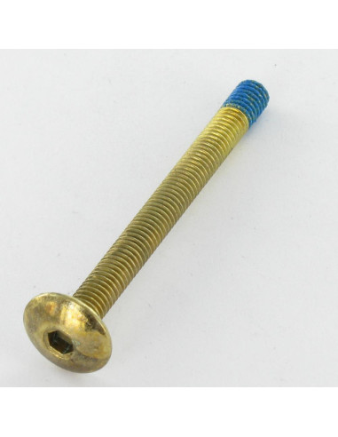 1 x Screw Mushroom M6X65 Hexagon Socket 4 Brass...