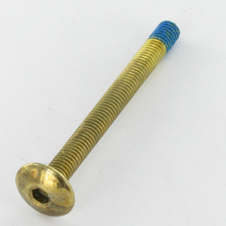 1 x Screw Mushroom M6X65 Hexagon Socket 4 Brass Plated Steel Patch Nylon