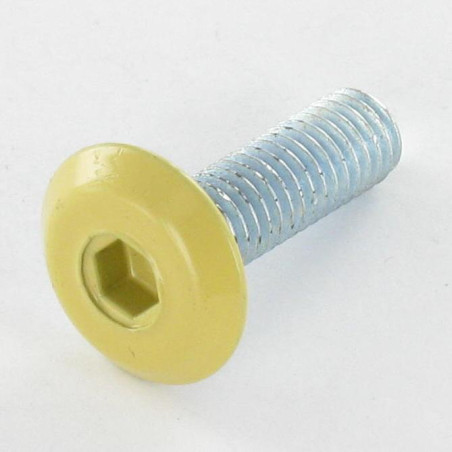 1 x Machine Screw flat Hexagon Socket 4 M6X20 Zinc Plated Head RAL1002