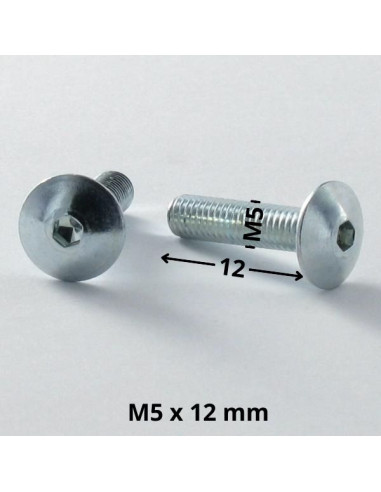 1 x Screw Mushroom M5X12 Hexagon Socket 3 Zinc...