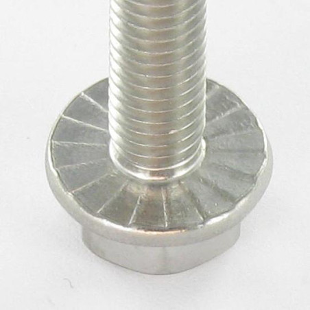 1 x Machine Screw Hexagonal Head Flange With Serration M12X35 Stainless Steel A4