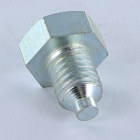 1 x Machine Screw Hexagonal Head M8X12 Dog Point Dog Point Zinc Plated