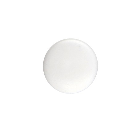 1 x Cap Polyethylene Head Diameter: 12 DT 2.5 Total Lengh 5 Ral9010/Pure White