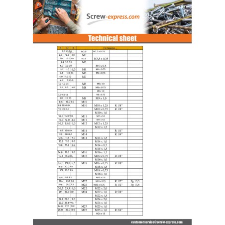 1 x Cap Smooth 25X32 LG13 Nylon RAL1020